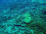 Gab Gab II Reef, Guam
