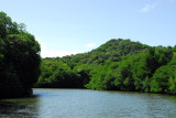Ngerdorch River, Babeldaob, Palau