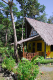 Jungle River Boat Cruises bai
