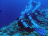 Divers rope themselves in the current at the edge of the cliff at Blue Corner to watch the show