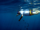 Dad snorkeling at the lunch stop