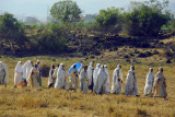 Timkat procession outside Bahir Dar