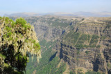 On the afternoon of our arrival we hiked from the lodge along the northern escarpment for several hours