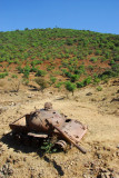 Destroyed T-55 tank