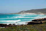 West coast looking north, Cape Peninsula