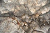 Tiny stalactites, The Dark Cave, Batu Caves