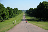 The Long Walk, Windsor Great Park