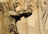 Gargoyle, York Minster