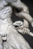 Detail of Laocon and the head of the serpent