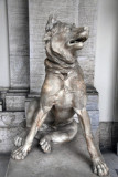 Statue of a dog, Roman Imperial period, Pio-Clementino (inv 897)