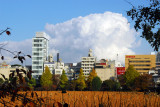Large cloud building in the distance beyond the Lotus Pond, Ueno Park