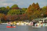 Shinobazu boat pond, Ueno Park