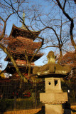 Stone lantern and Pagoda, Ueno Park