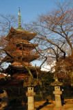 Stone lanterns and Pagoda, Ueno Park