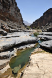Wadi Dham below the dam