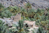 Oasis of Misfat Al Abryeen