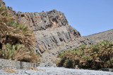 Driving up Wadi An Nakhur into the Grand Canyon of Arabia