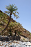 Wadi An Nakhur
