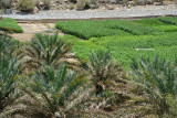 Irrigated fields at Ghul