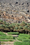 Ruins of Ghul