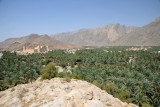 Nakhl Fort with its extensive palm groves
