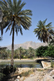 Irrigation pond, Nakhl