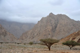 Outside Dibba