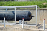 ...we figure this got caught in a North Korean fishing net
