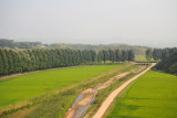 North Korean landscape with a tree-lined road
