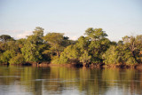 Kafue River, Zambia