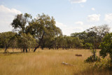 McBridges Camp is within Kafue National Park proper