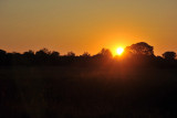 Sunrise, McBrides Camp, Kafue National Park