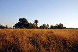 The veld behind McBrides Camp