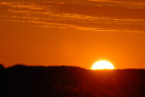 Sunrise, Shoebill Island, Bangweulu Swamps