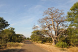 The main tar road near Wildlife Camp