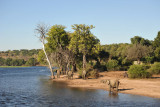 Chobe River with elephants, Chobe National Park