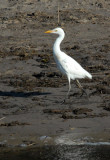 Botswana10 149.jpg