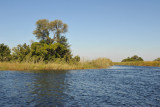 Boat ride along the Okavango River through the northern delta to Guma Lagoon Camp