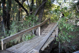 The dock at Guma Lagoon Camp