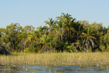 Northern Okavango Delta, Botswana