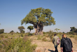 Walking safari on an island in the Northern Okavango Delta, Botswana