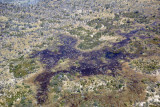 Flooded area between the Kwando and Okavango Rivers, Botswana