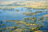 The Okavango Delta is the worlds largest inland delta