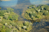 Tree-covered islands, Okavango Delta