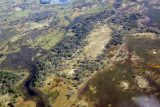 Moremi Game Reserve, Okavango Delta