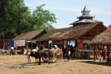 Bullock cart in front of the Indein Market