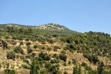 Ajlun Castle on the hilltop