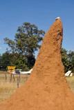 Termite mound, Eureka, Namibia