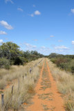Dirt track, Eureka