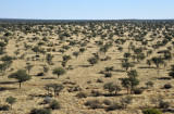 Farm Olifantwater West, Namibia